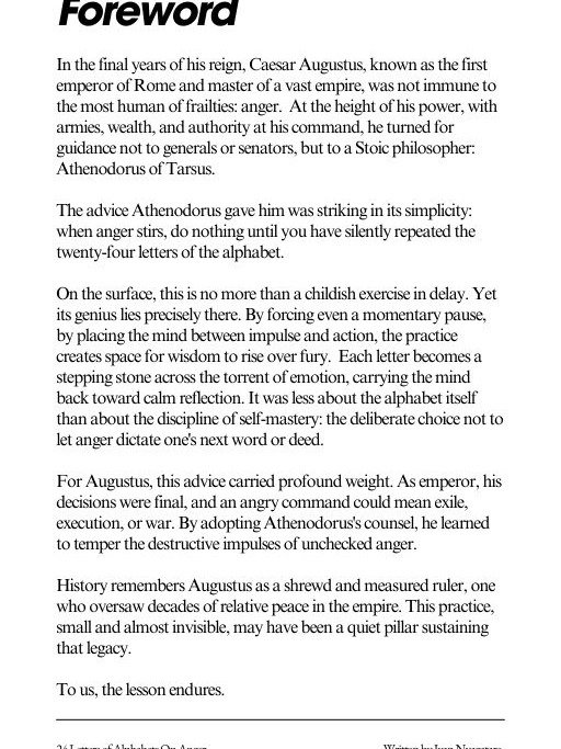 24 Alphabets on Anger product image (3)