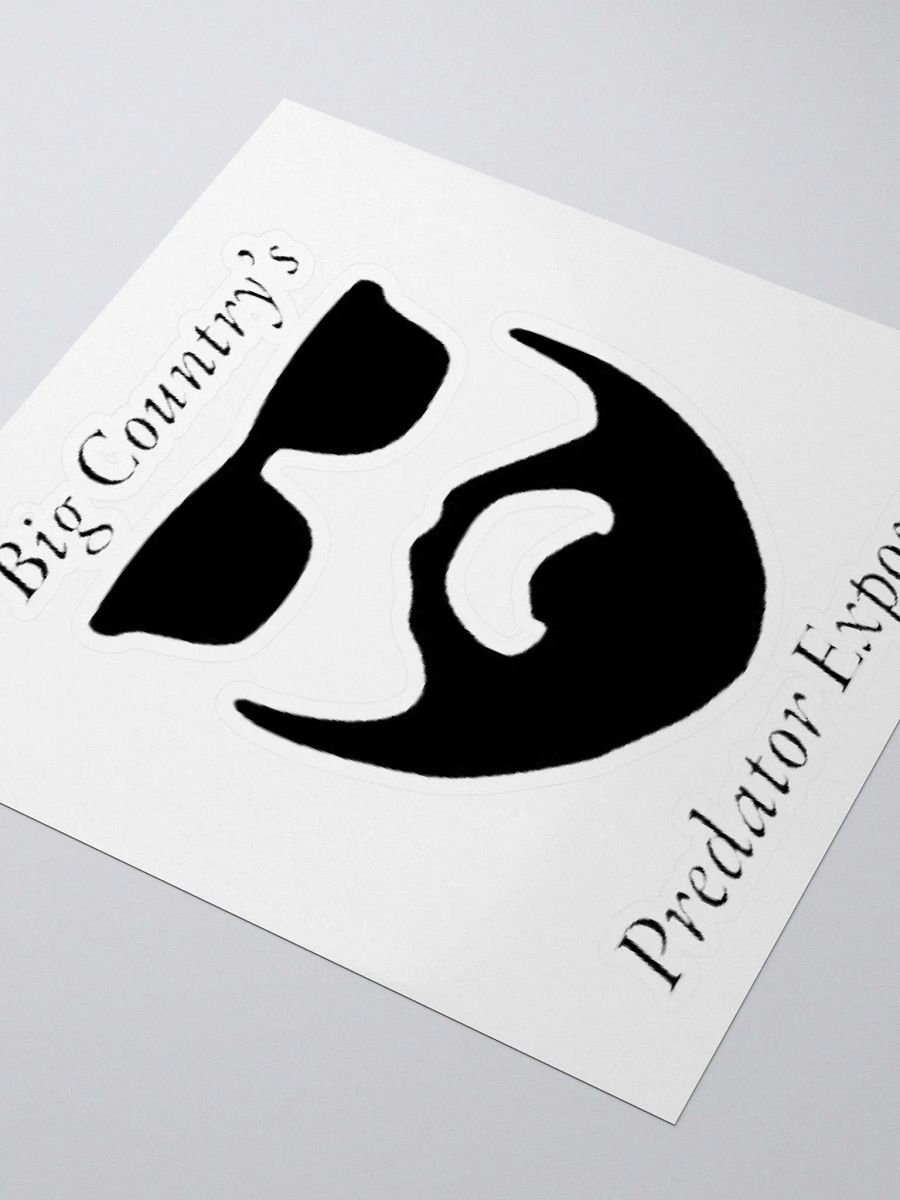 BCPE STICKER product image (8)