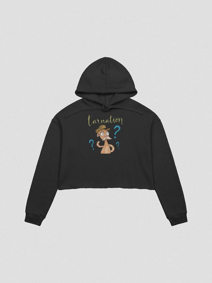 What in the TARNATION Crop Top Hoodie product image (2)
