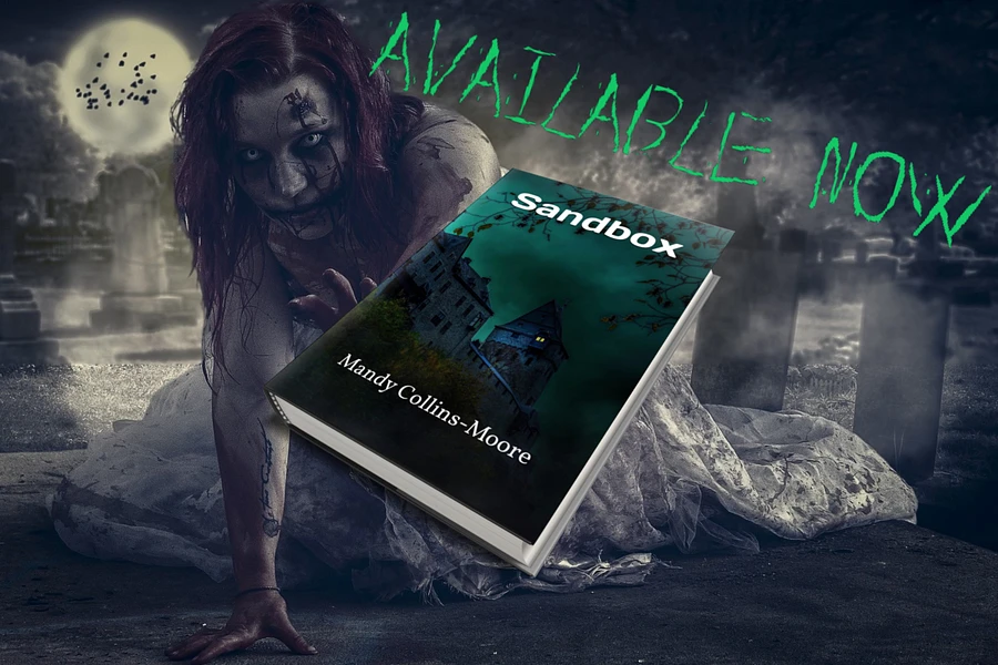 Sandbox (Hardcover, Paperback, & Large Print) product image (2)