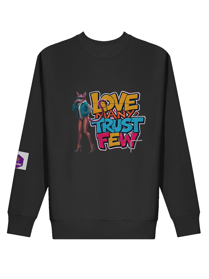 RayElle Distribution Illustrated Sweatshirt product image (11)