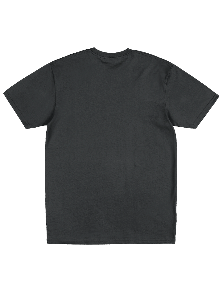 Safety is an Illusion Large Text Black T product image (2)