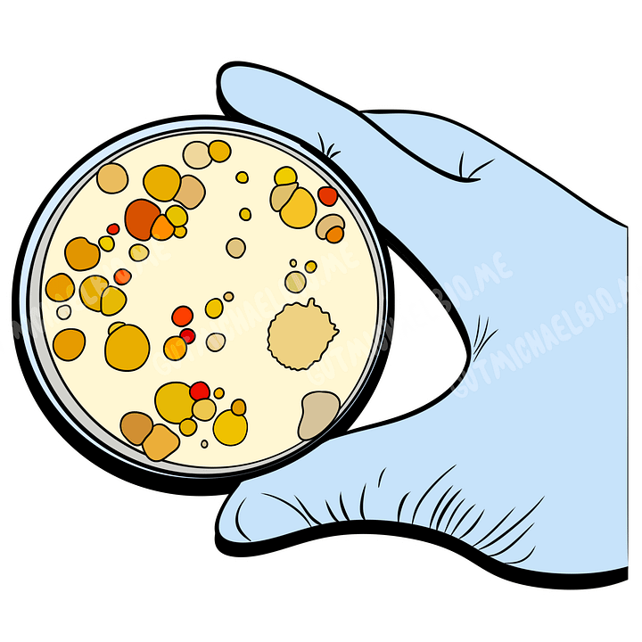 Bedazzled Petri Dish - Sticker product image (2)