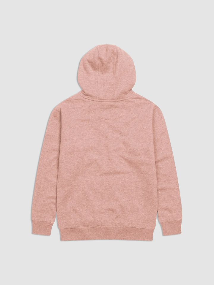 Big Aquarius Energy Hoodie product image (2)