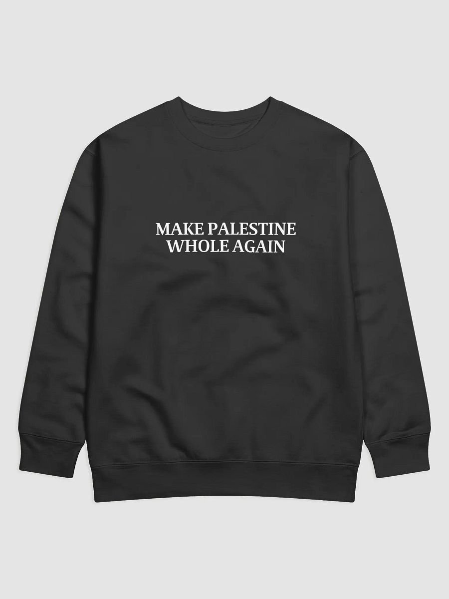 Make Palestine Whole Again Sweatshirt product image (4)