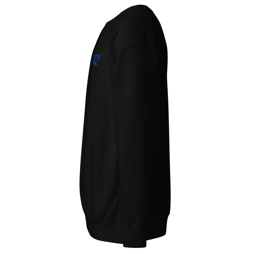 BTW long sleeve T product image (11)