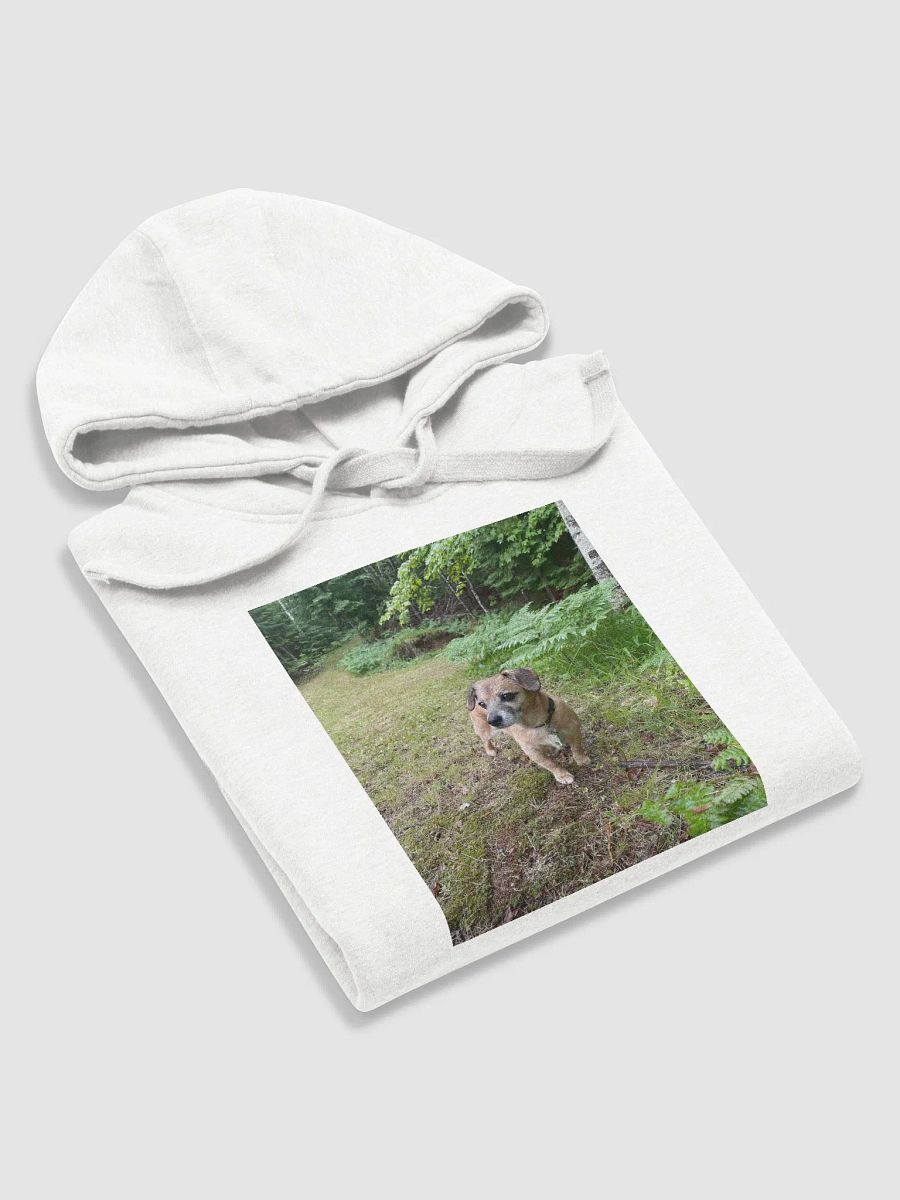 Rocky Hoodie product image (5)