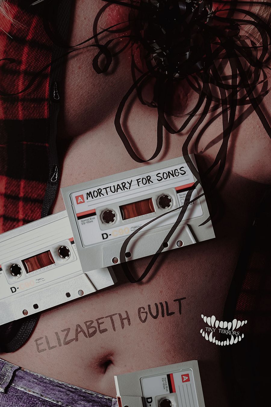 A Mortuary for Songs by Elizabeth Guilt product image (1)