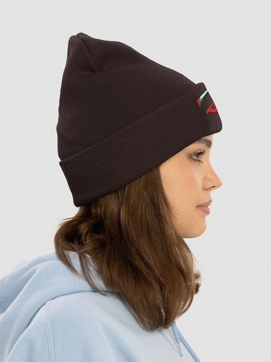 PAL Abstract Fusion Cuffed Beanie product image (5)