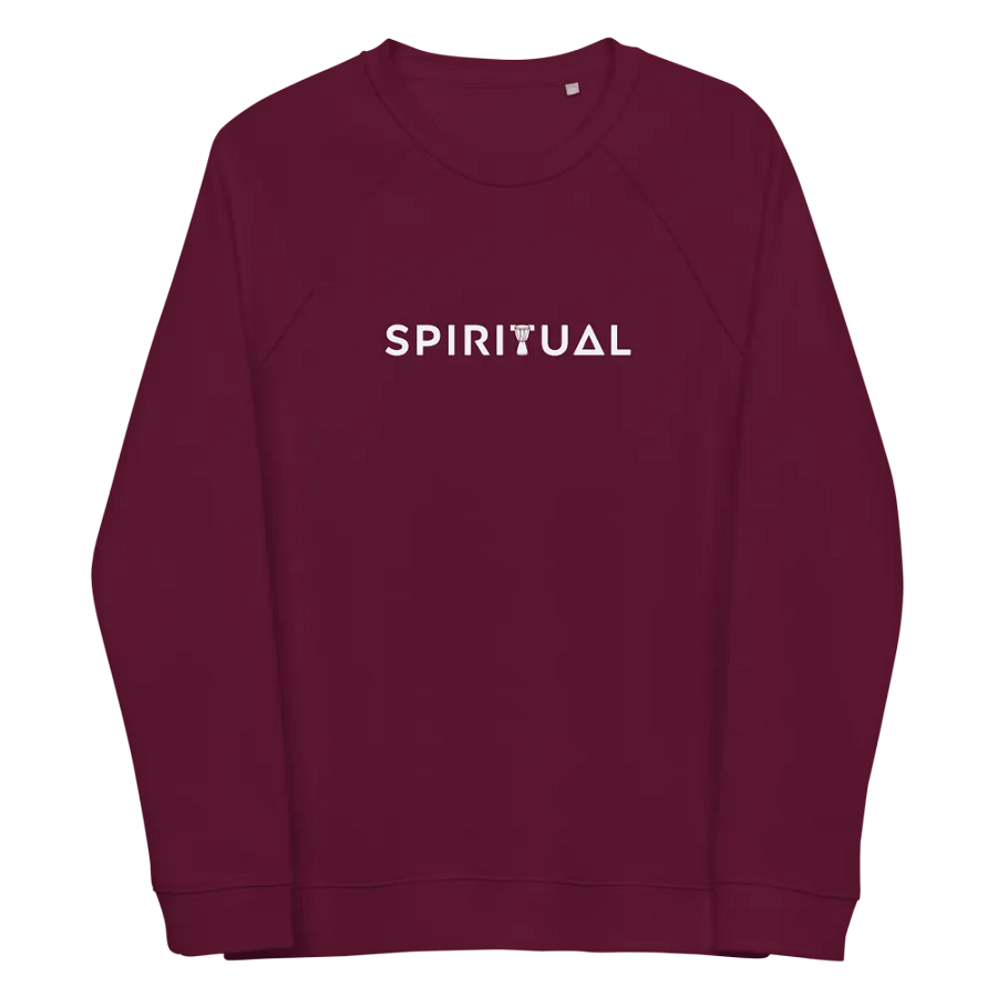 ZENITH by SPIRITUAL product image (4)