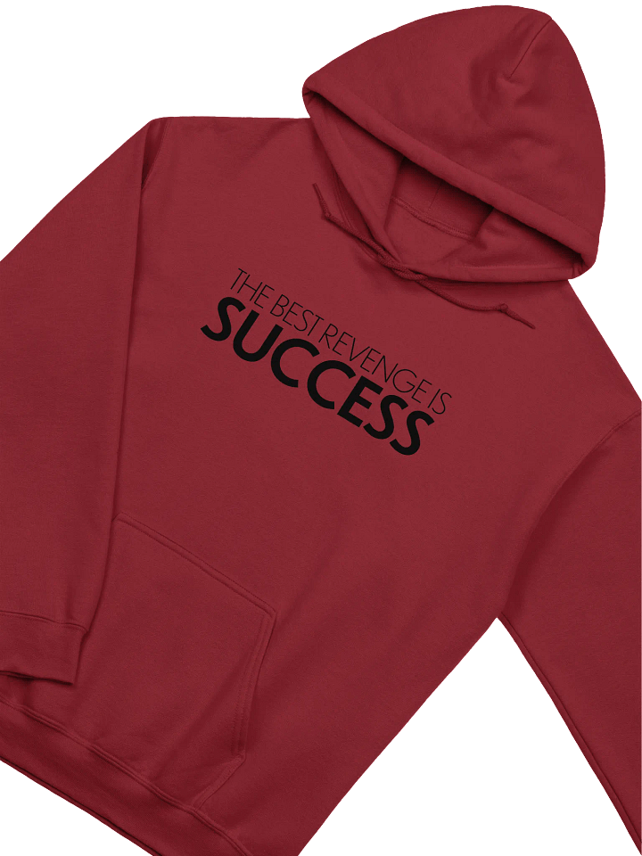 The Best Revenge is Success Hoodie product image (1)