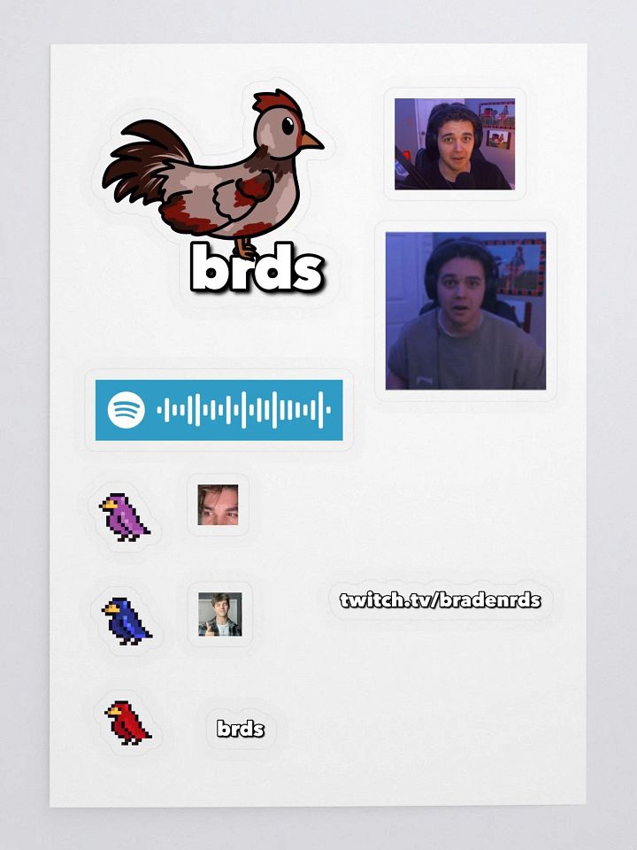 bradenrds Sticker Pack product image (1)