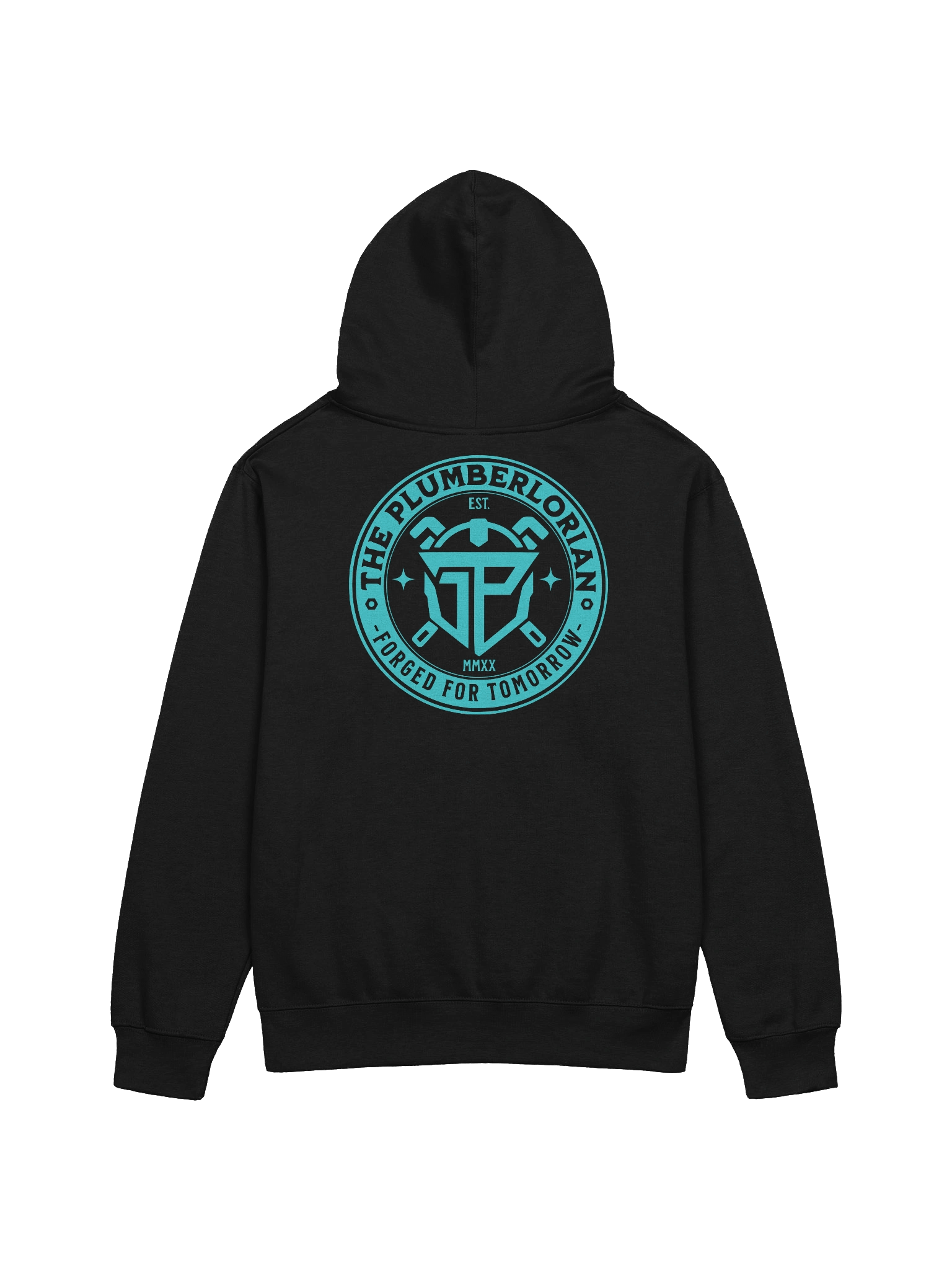 FORGED TEAL EMBLEM HOODIE product image (4)