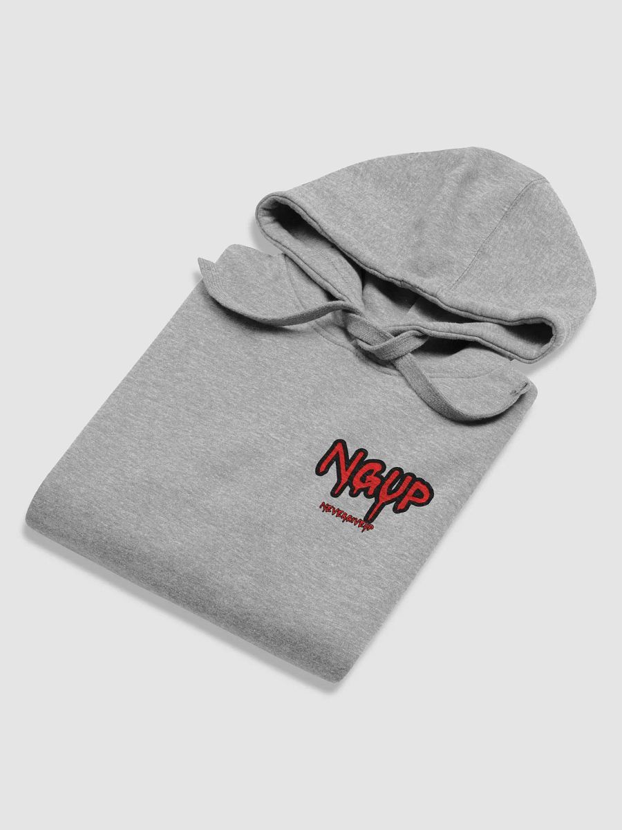 NGUP Distressed Premium Hoodie product image (21)