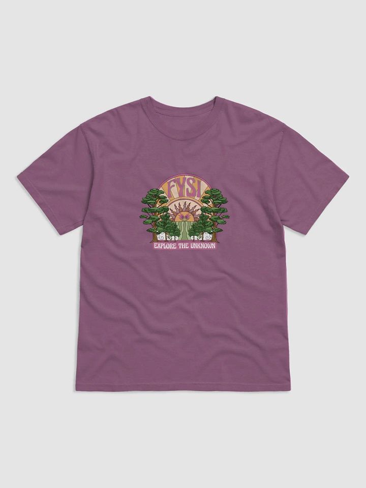 Emerge comfort colors heavyweight organic cotton t-shirt product image (1)