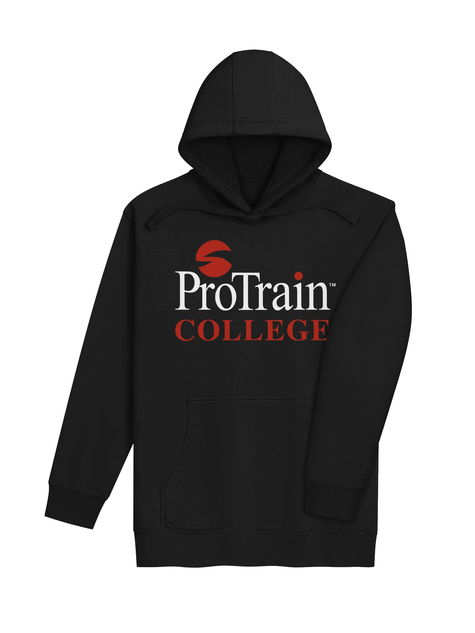 ProTrain College Premium Hoodie product image (4)