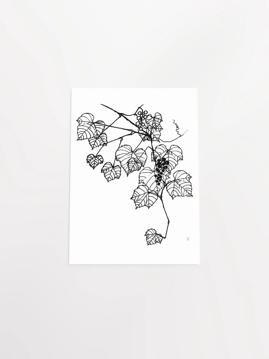 Vibrant Vineyard: Premium Matte Paper Poster - Grape Leaves Stylish product image (4)