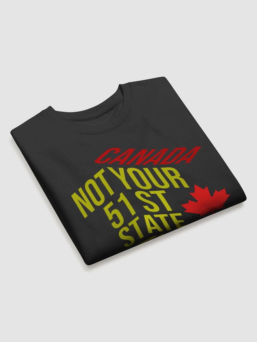 Canadian Pride Statement Sweatshirt product image (18)