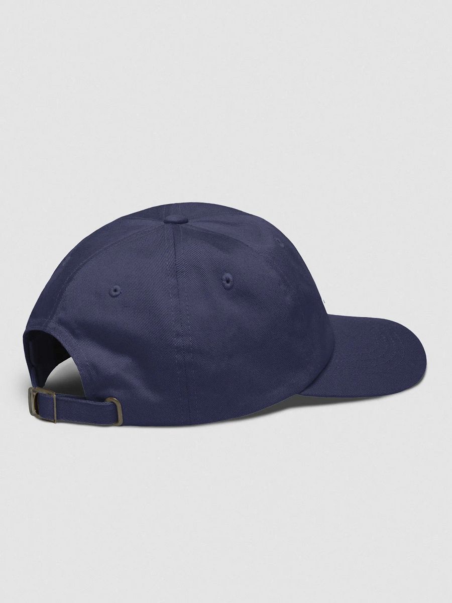 The Pocket-Sized Vidic Cap product image (24)