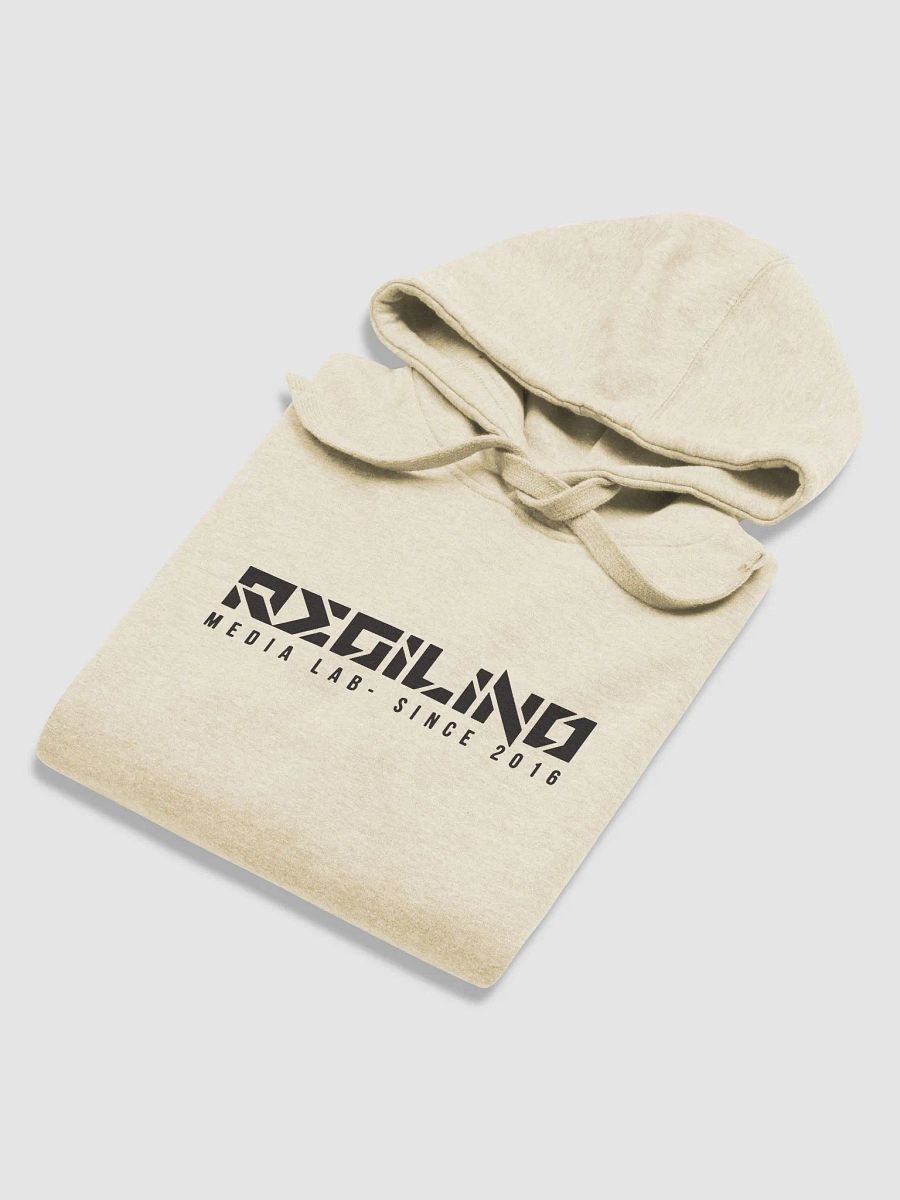 Regilino Media Lab Hoodie product image (35)