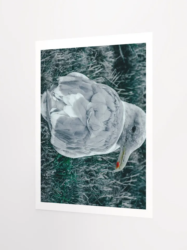 Seagull (my best buddy) product image (2)