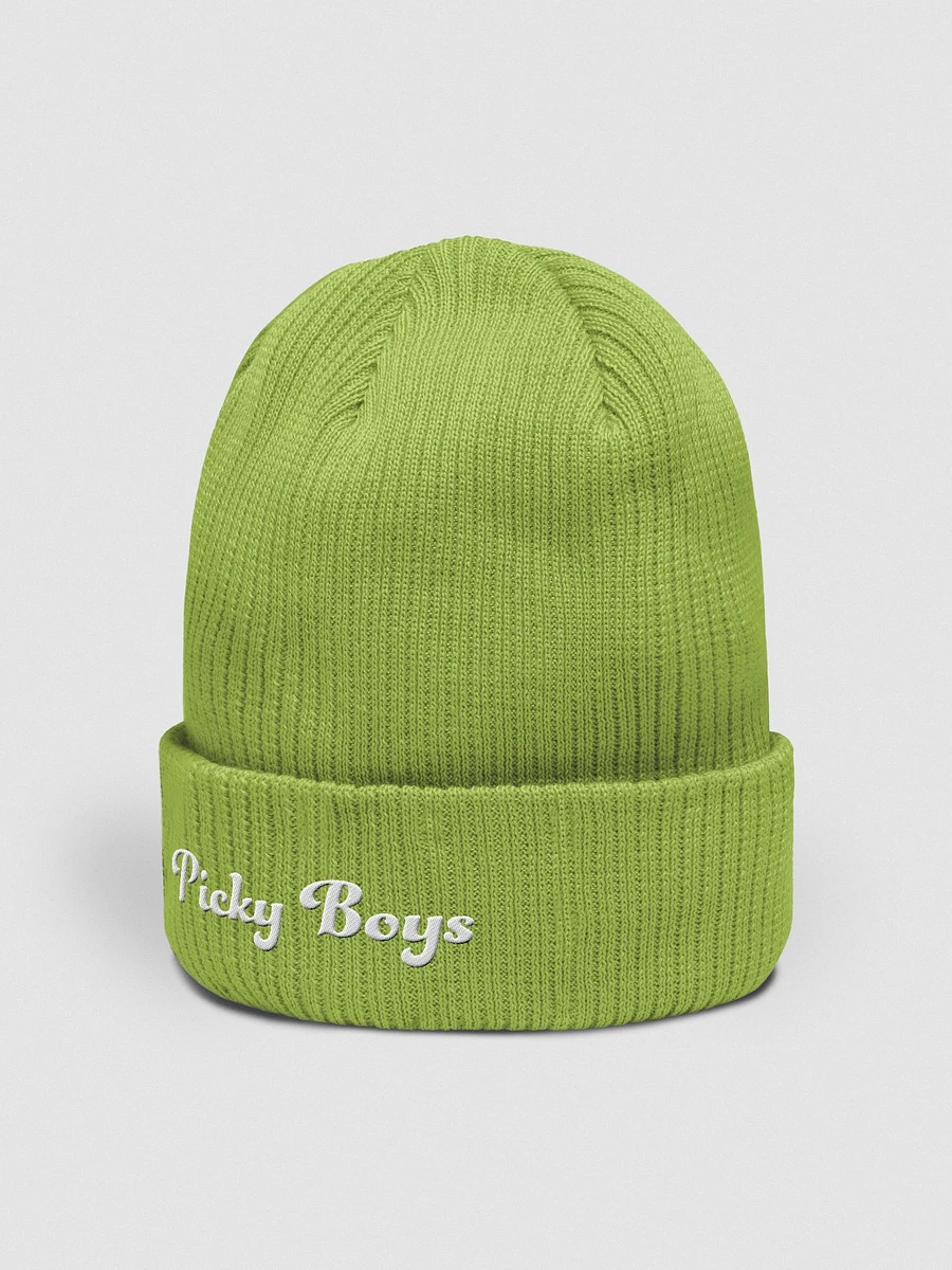 Picky Boys Embroidered Beanie (5 Colors) product image (12)