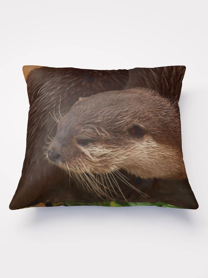 Jaguar & Otter Pillow product image (1)