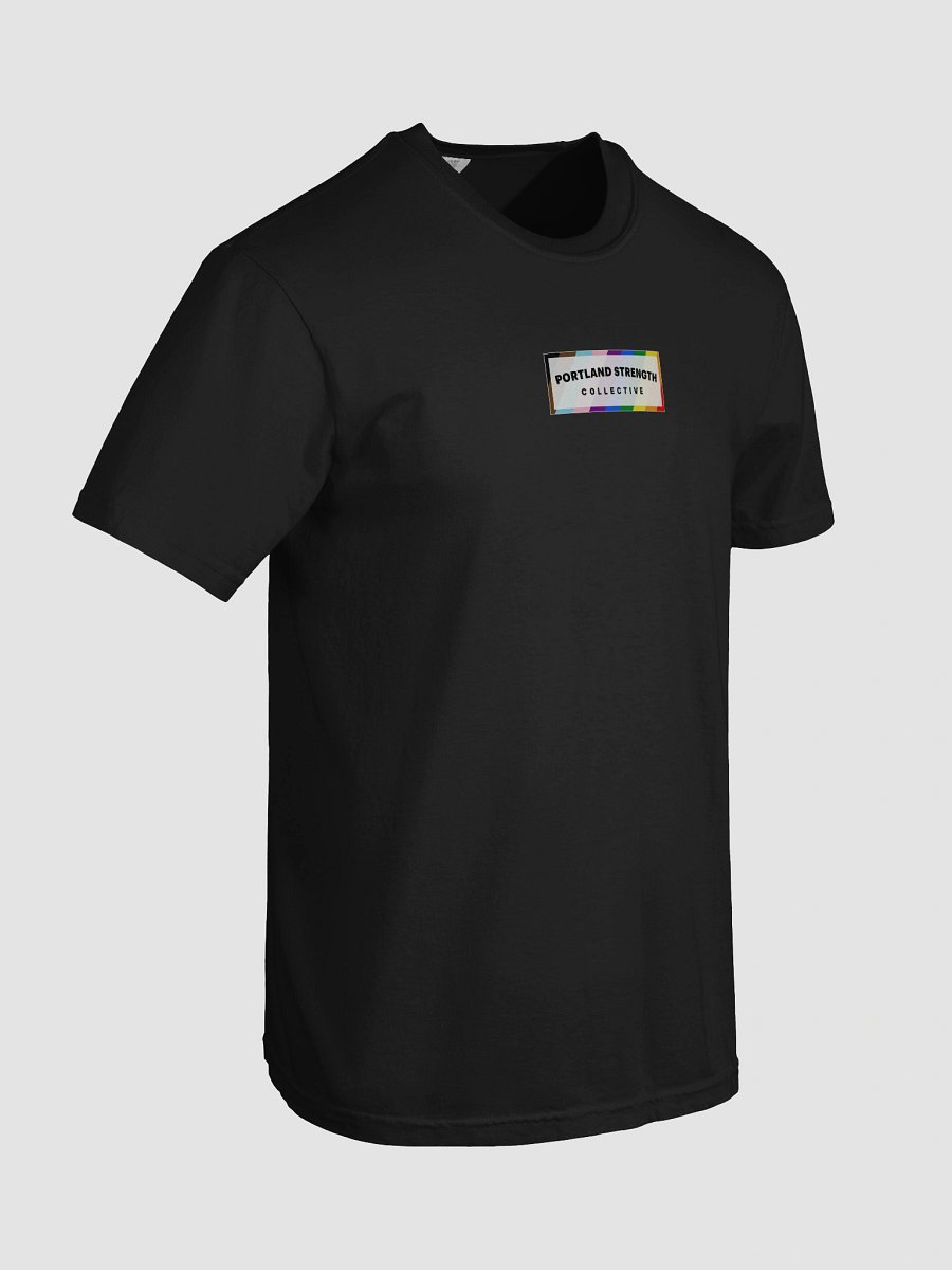 PSC Pride Shirt product image (7)