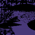 privatepenguin