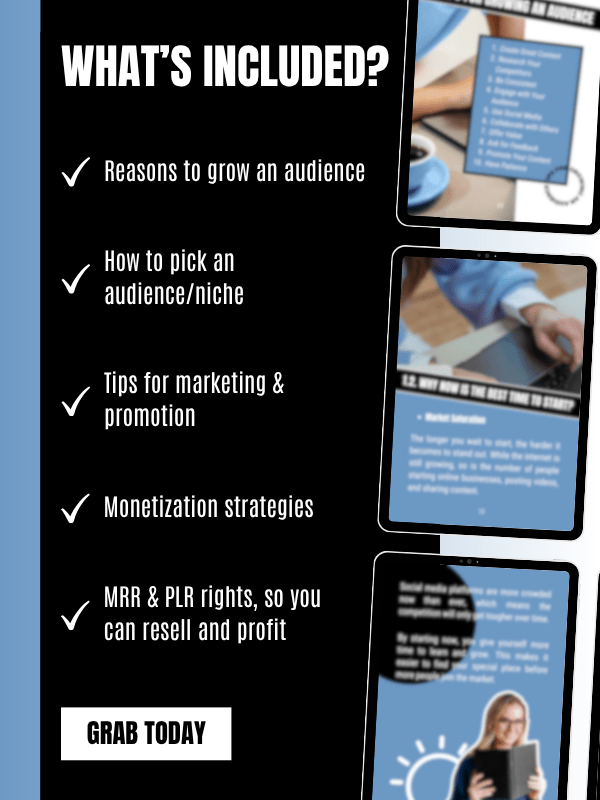 MRR/PLR eBook for Content Creators product image (4)