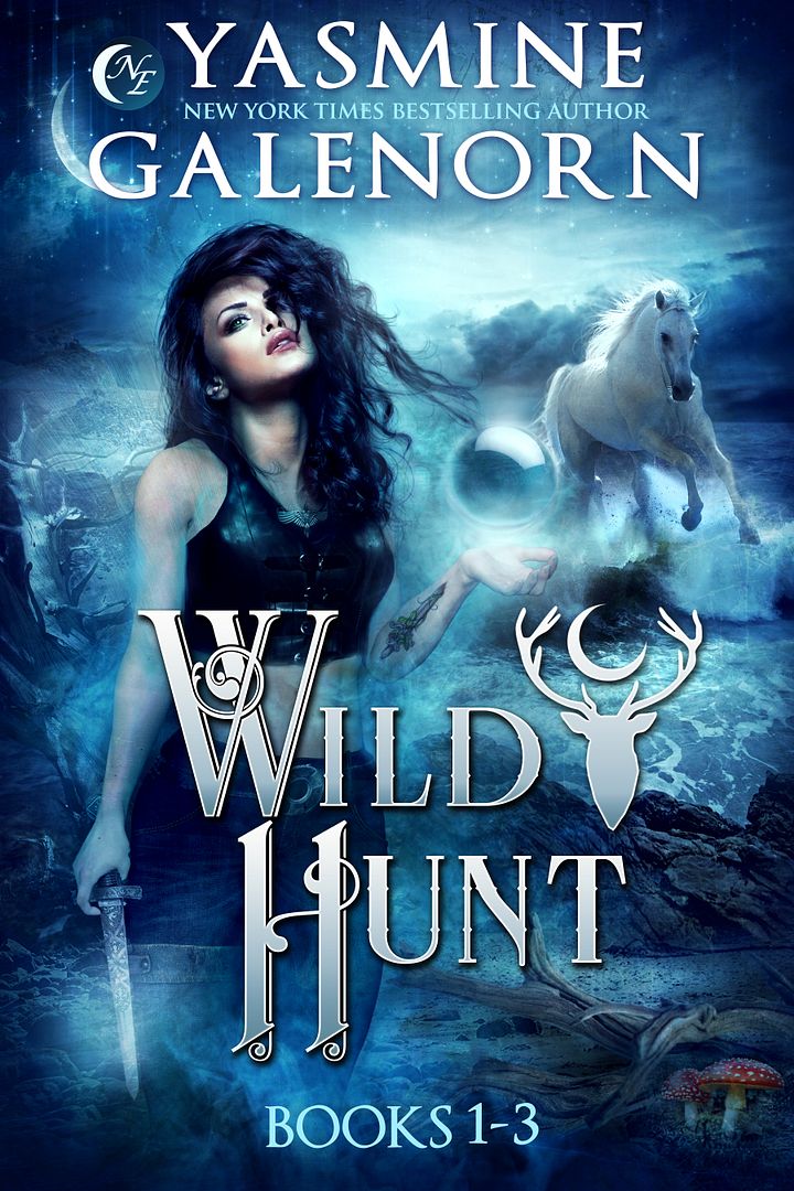 Wild Hunt Books 1-3 product image (1)