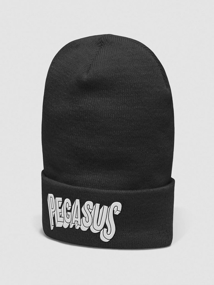 Pegasus Embroidered Beanie product image (18)
