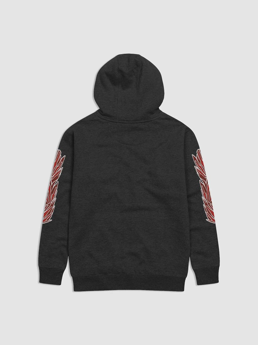 Odogaron Hoodie product image (6)