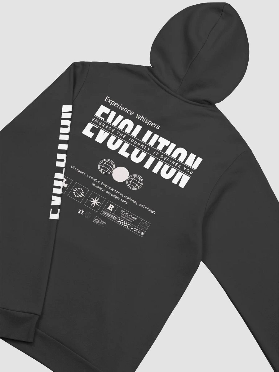 Evolved Spirit: Shaped by Journey: Hoodie product image (4)