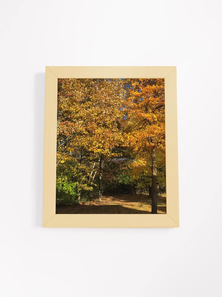 Fall Leaves High Quality Matte Poster product image (1)