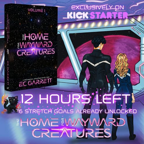 ✨ 🌙12 HOURS LEFT✨ 🌙

Meet THE HOME FOR WAYWARD CREATURES (Vol 1), my new paranormal space romantasy series about the galaxy’s...