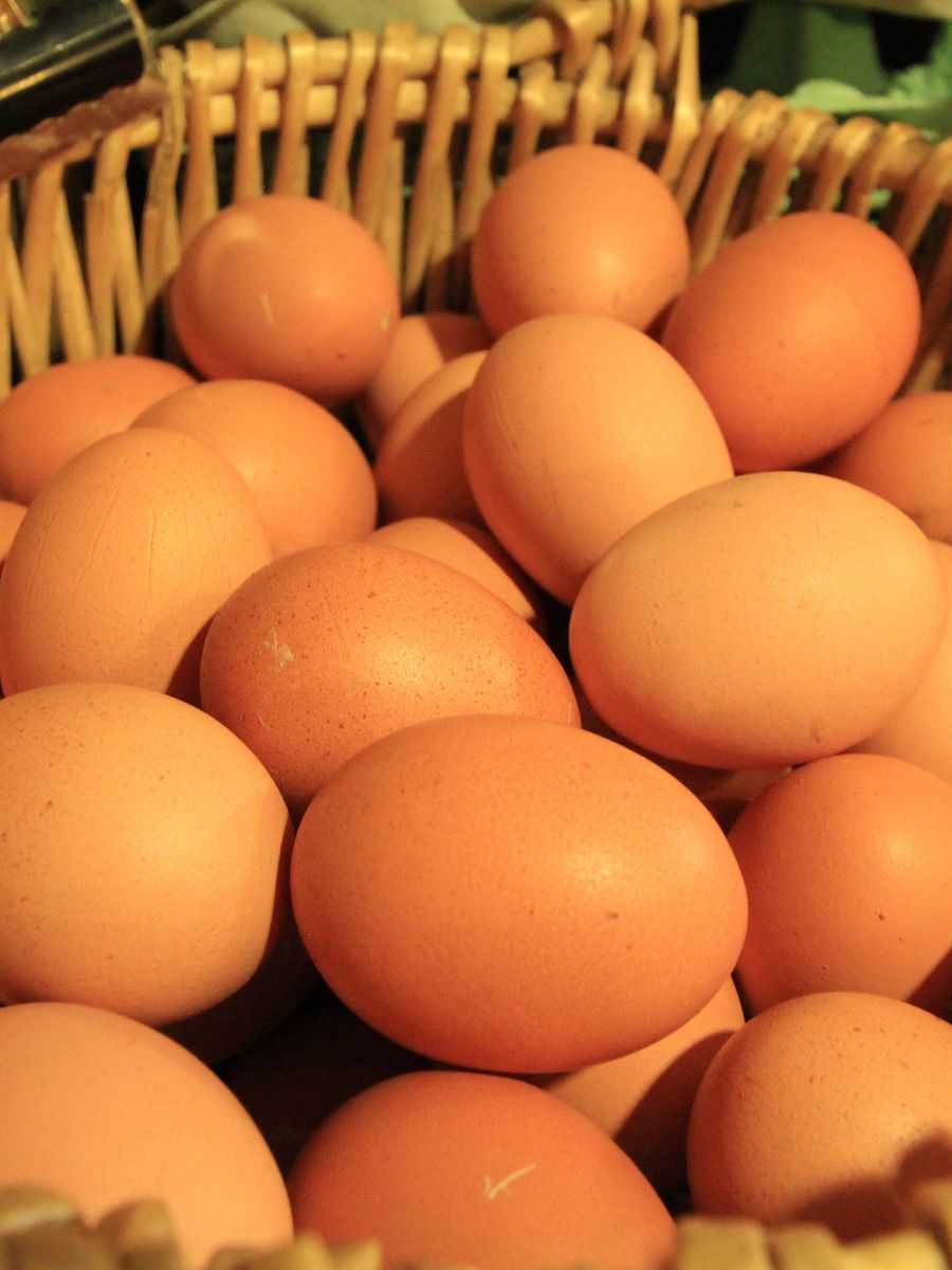 Food Image Collection product image (3)