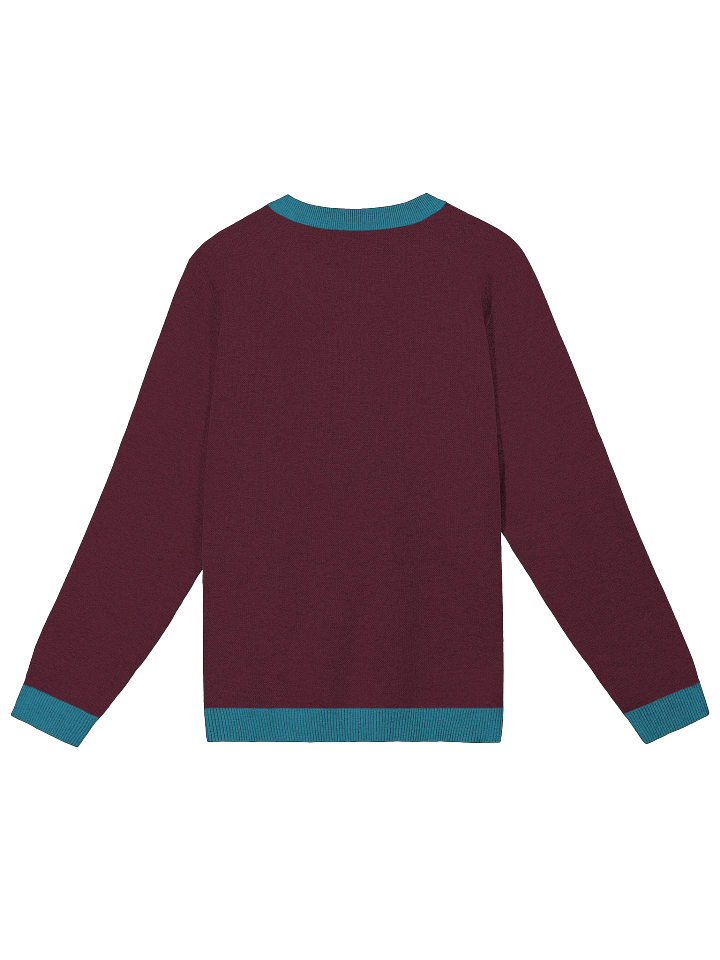 CS Sweater product image (10)