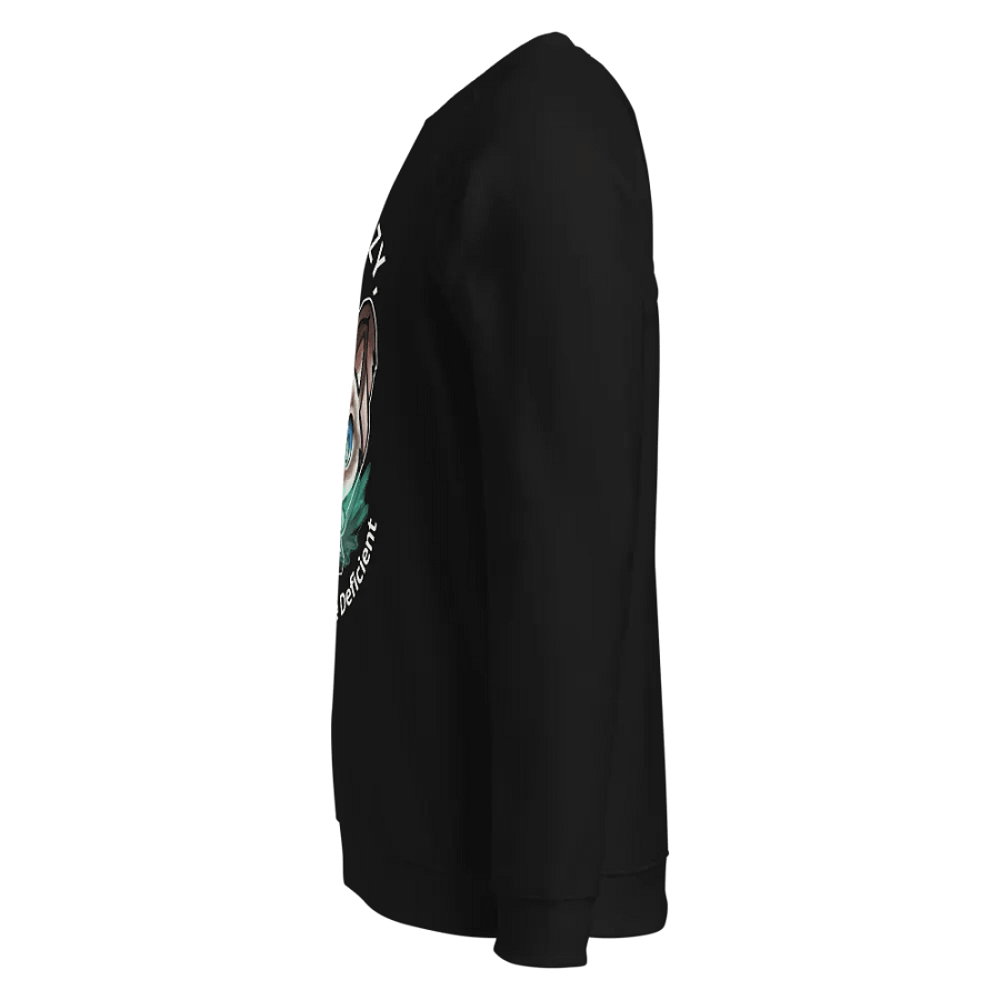 Not Lazy - Organic Raglan Sweatshirt product image (7)