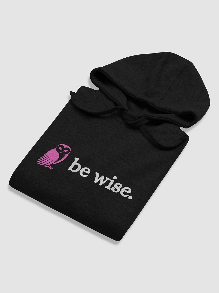 Be Wise. Owl Graphic Premium Hoodie product image (48)
