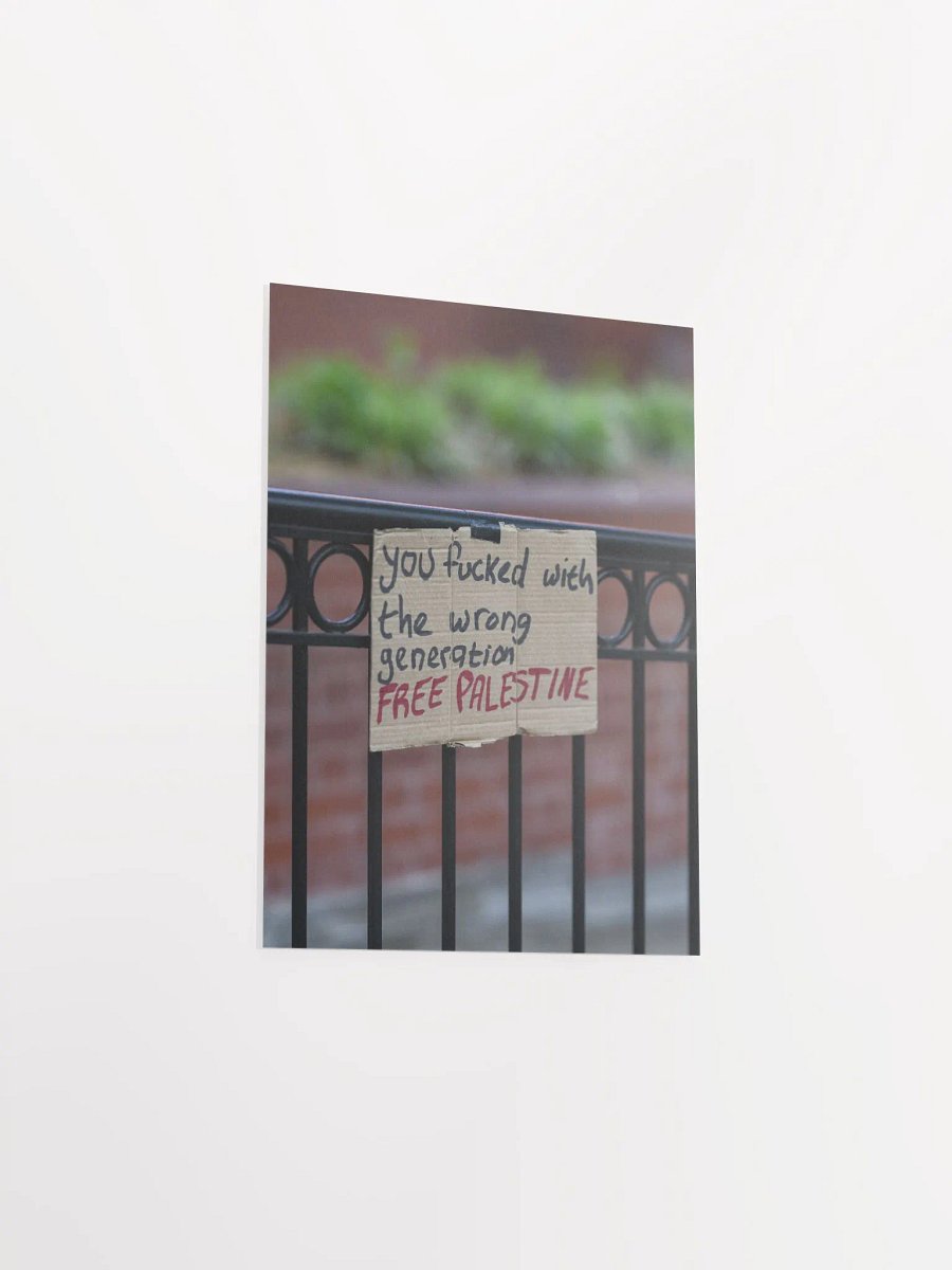 You F'd With The Wrong Generation (no frame) product image (3)