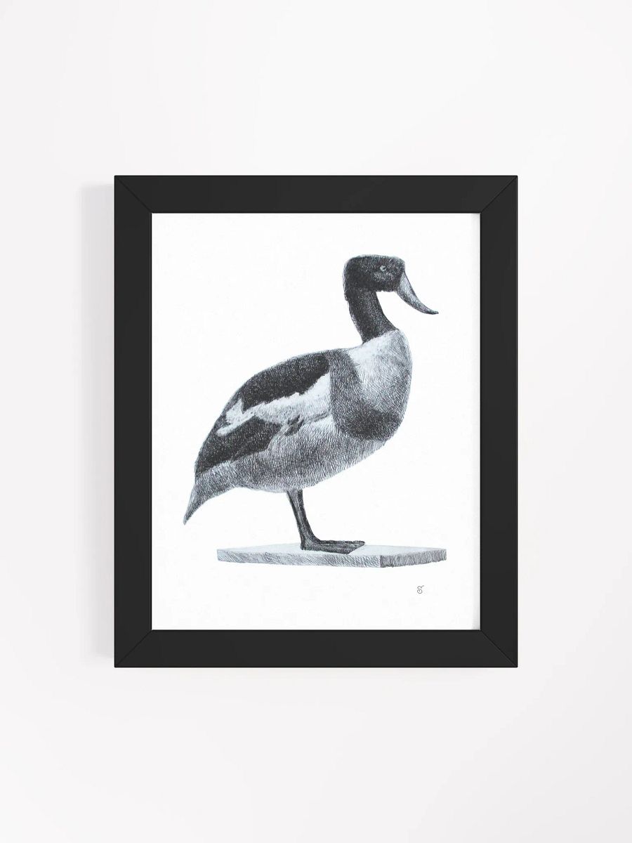 Serene Solitude: Framed Duck Illustration - Duck product image (12)