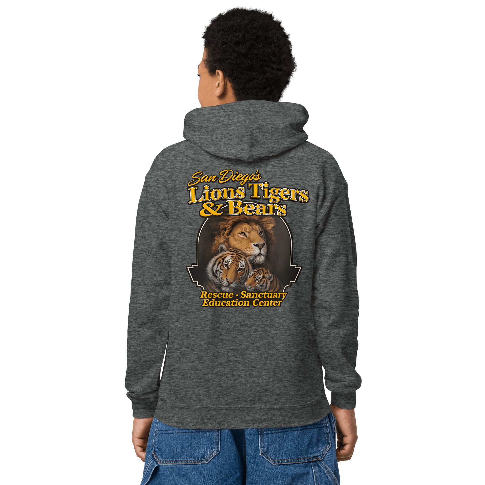 LTB Legacy Logo Youth Hoodie product image (11)