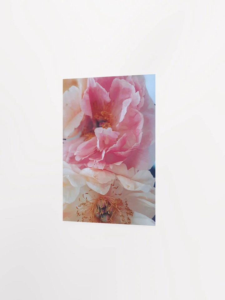 Elegant Flower Blossoms Poster product image (2)