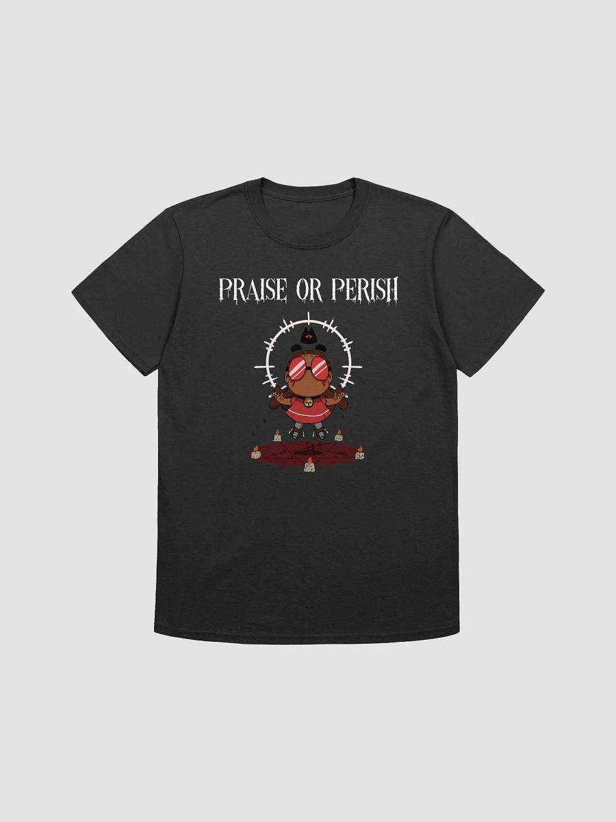 Vestments of the Cult product image (1)