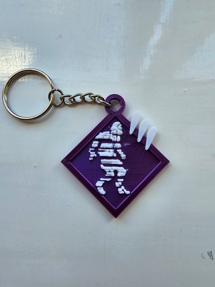 Key ring 