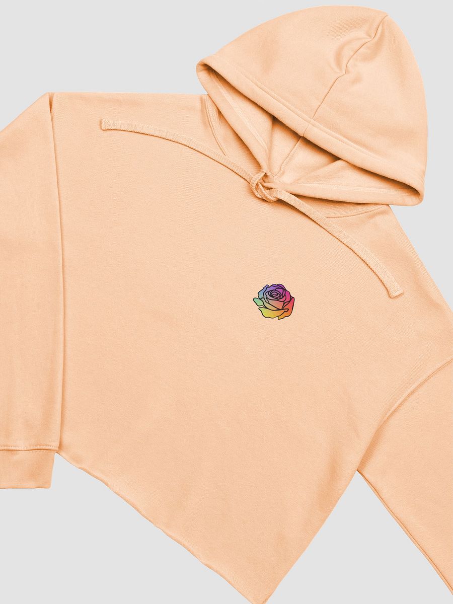 PRIDE Crop Hoodie product image (3)