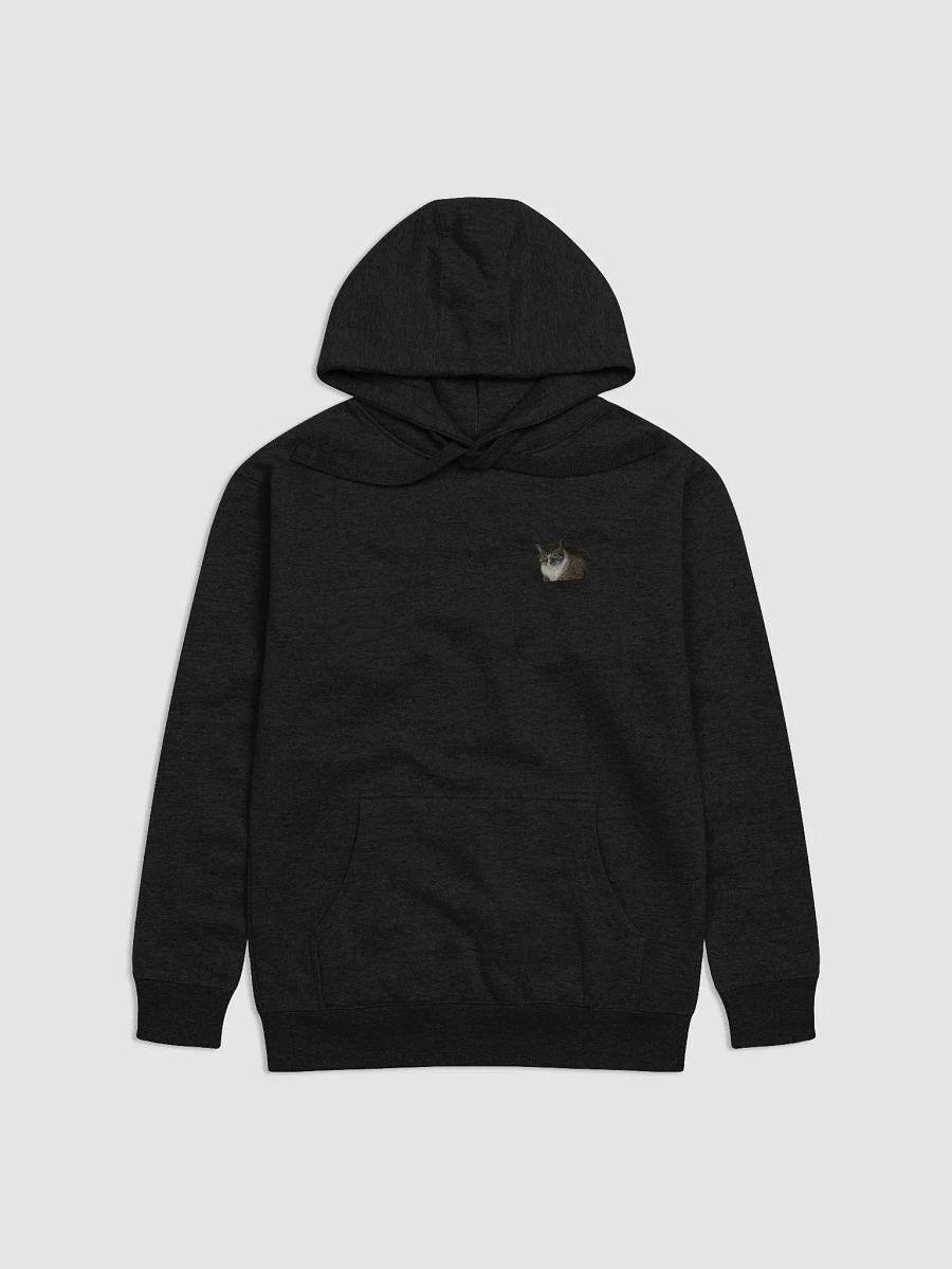 wild kitty Hoodie product image (3)