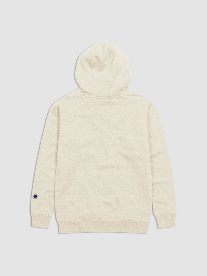 Merry Everything and Happy Always Hoodie product image (15)