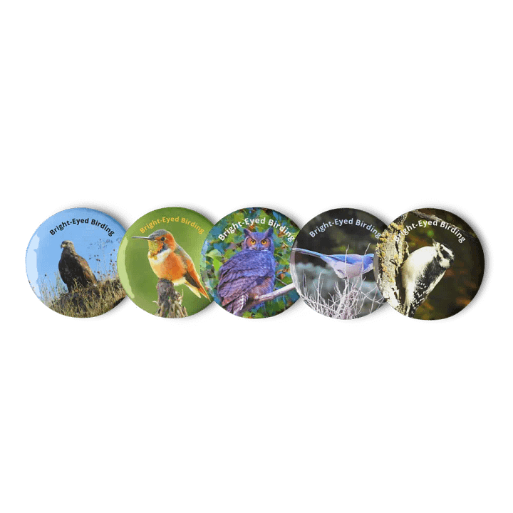 Bright-Eyed Birding Buttons (2023) product image (1)